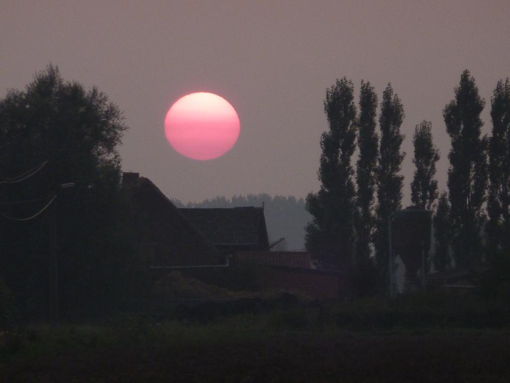 Guesthouse Kolibriehuys Nieuwkerke エクステリア 写真