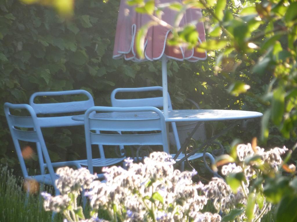 Guesthouse Kolibriehuys Nieuwkerke エクステリア 写真