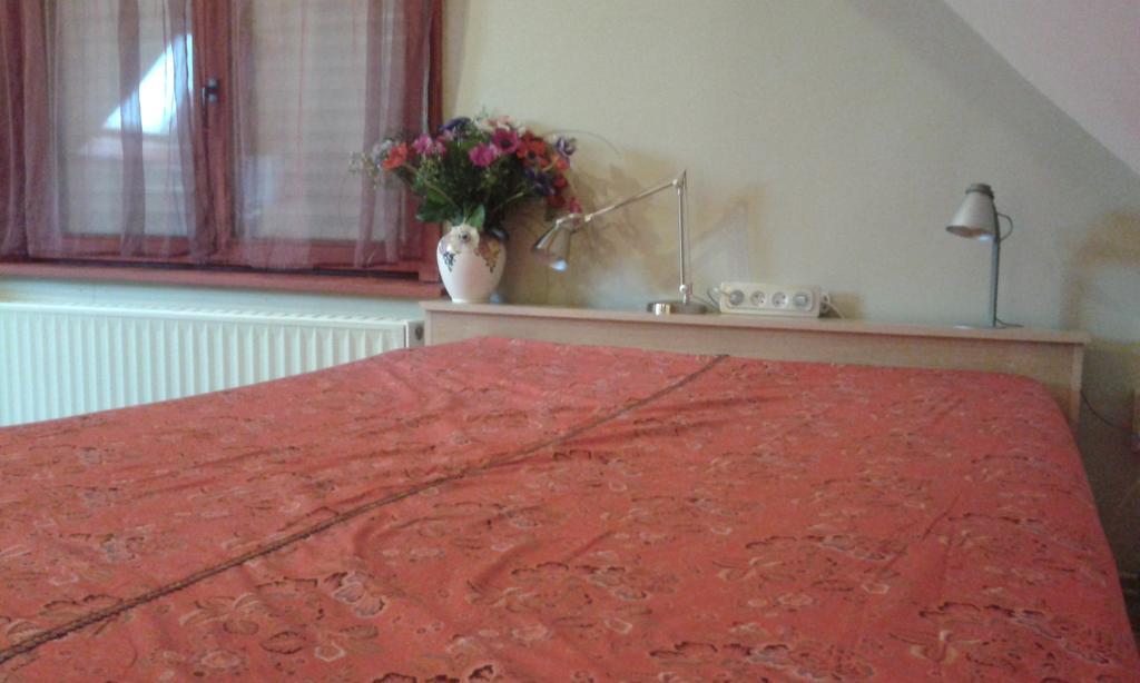 Guesthouse Kolibriehuys Nieuwkerke エクステリア 写真