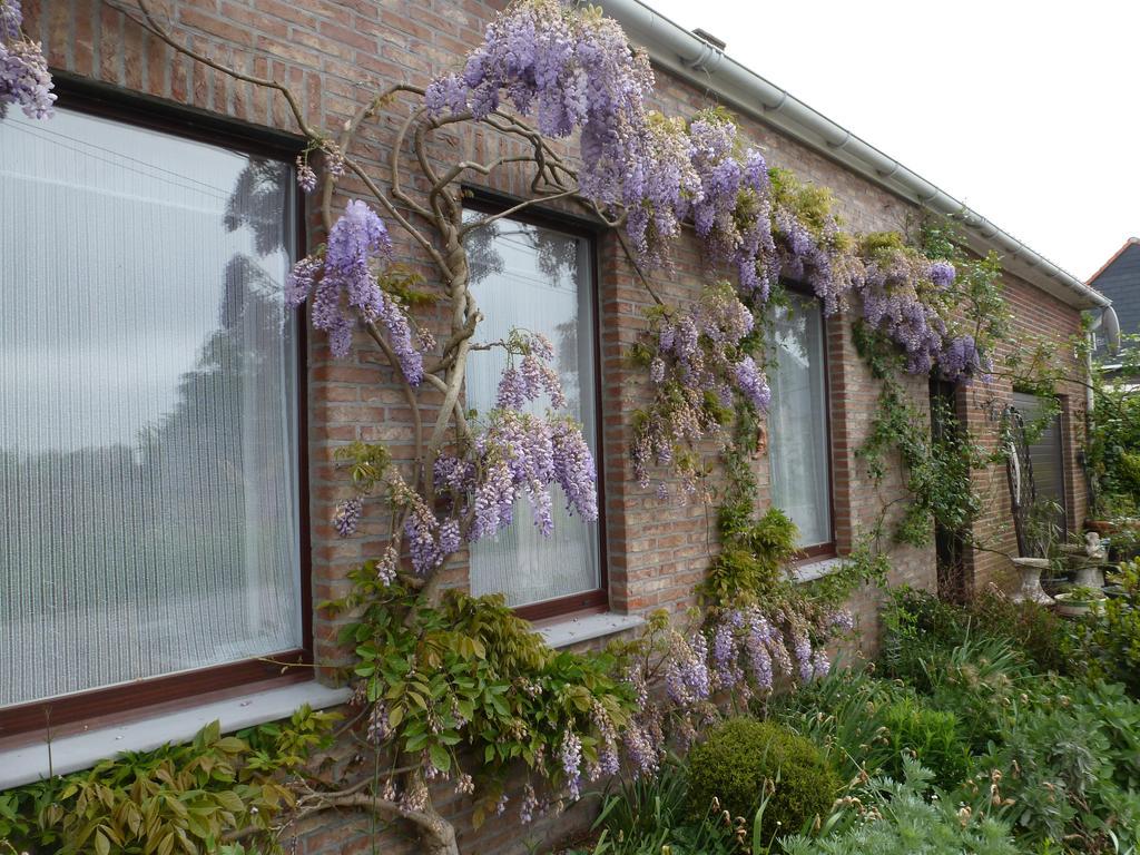 Guesthouse Kolibriehuys Nieuwkerke エクステリア 写真