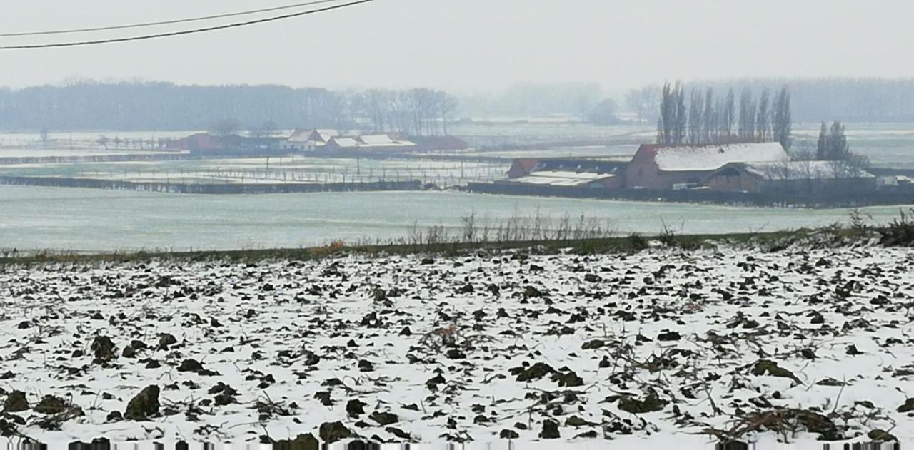 Guesthouse Kolibriehuys Nieuwkerke エクステリア 写真